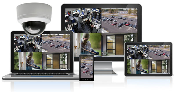 The Xpert Services